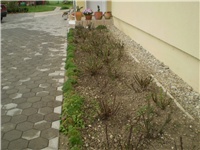 e5180098-Picture 960.jpg